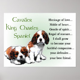 Cavalier King Charles Spaniel Gifts Poster