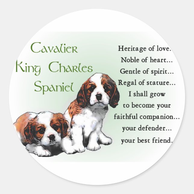 Cavalier King Charles Spaniel Gifts Runder Aufkleber (Vorderseite)
