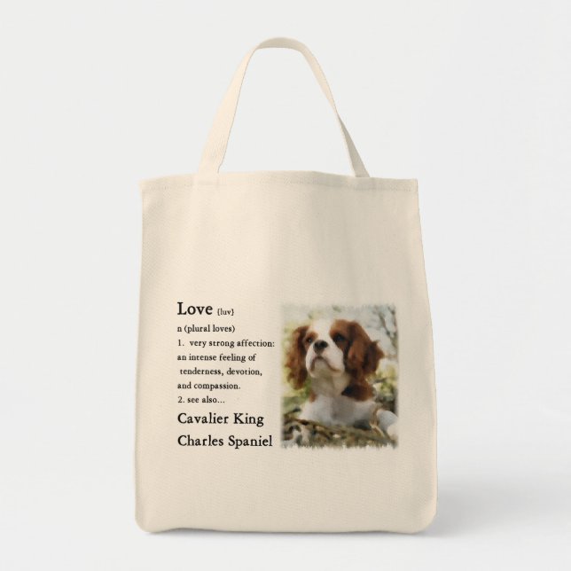 Cavalier King Charles Spaniel Gifts Tragetasche (Vorne)