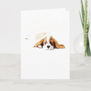 Cavalier King Charles Spaniel Grußkarte, Geschenk Karte