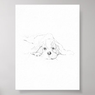 Cavalier King Charles Spaniel Haustier Poster