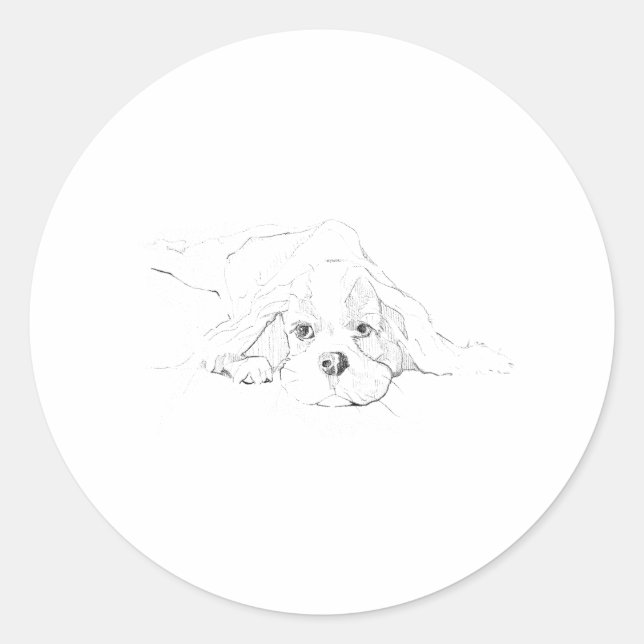Cavalier King Charles Spaniel Haustier Runder Aufkleber (Vorderseite)
