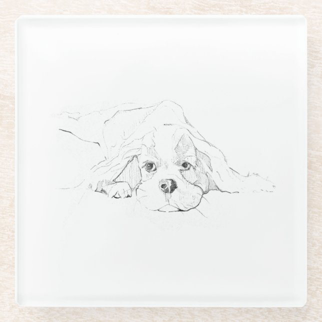 Cavalier King Charles Spaniel Haustier-Tasse Glasuntersetzer (Vorderseite)