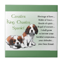 Cavalier King Charles Spaniel Heritage of Liebe