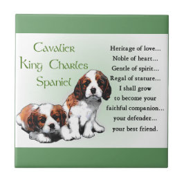 Cavalier King Charles Spaniel Heritage of Liebe Fliese