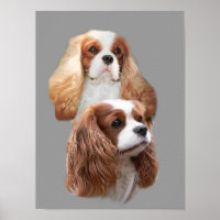 Cavalier King Charles Spaniel Hübsch Girls Print