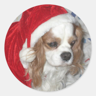 CAVALIER KING CHARLES SPANIEL HUND MIT WEIHNACHTSM RUNDER AUFKLEBER