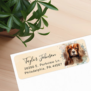 Cavalier King Charles Spaniel Hund Rücksendeadress