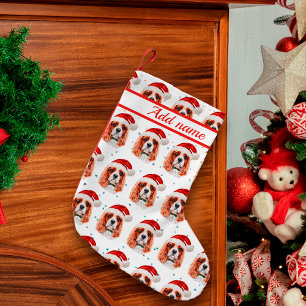 Cavalier King Charles Spaniel Hundezucht Weihnacht Kleiner Weihnachtsstrumpf