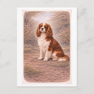 Cavalier King Charles Spaniel im Vintage-Stil Postkarte