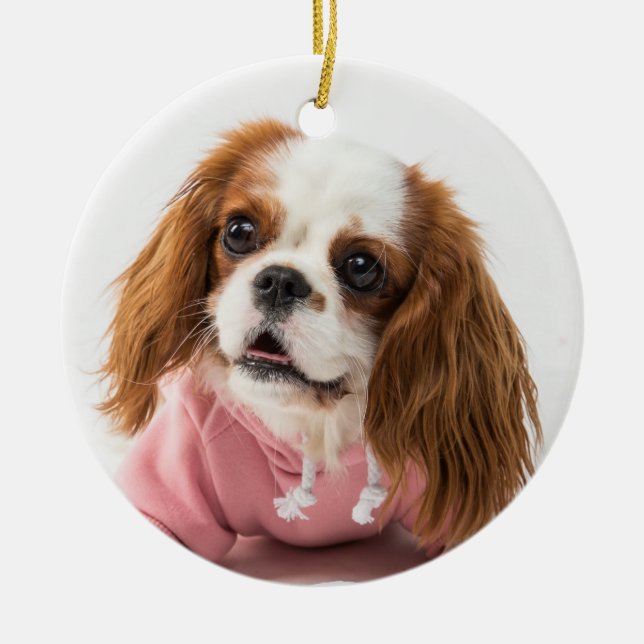Cavalier King Charles Spaniel in Pink Jacket Keramik Ornament (Vorne)