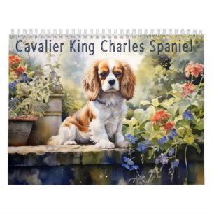 Cavalier King Charles Spaniel Kalender, jedes Jahr Kalender