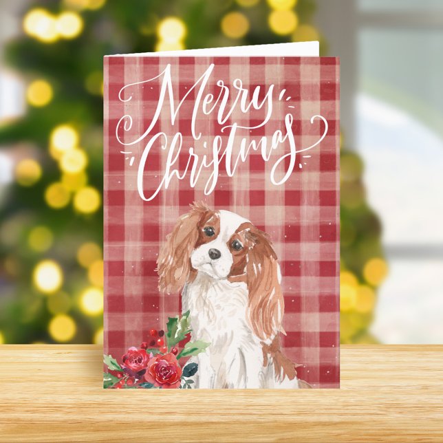 Cavalier King Charles Spaniel Karierte Weihnachten (Von Creator hochgeladen)