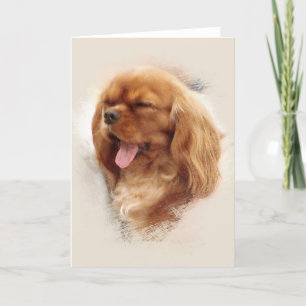 Cavalier King Charles Spaniel Karte