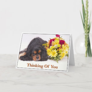 Cavalier King Charles Spaniel Karte - Ich denke an