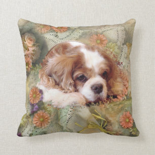 Cavalier King Charles Spaniel Kissen