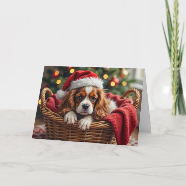 Cavalier King Charles Spaniel Kuschelkorb Karte (Vorderseite)