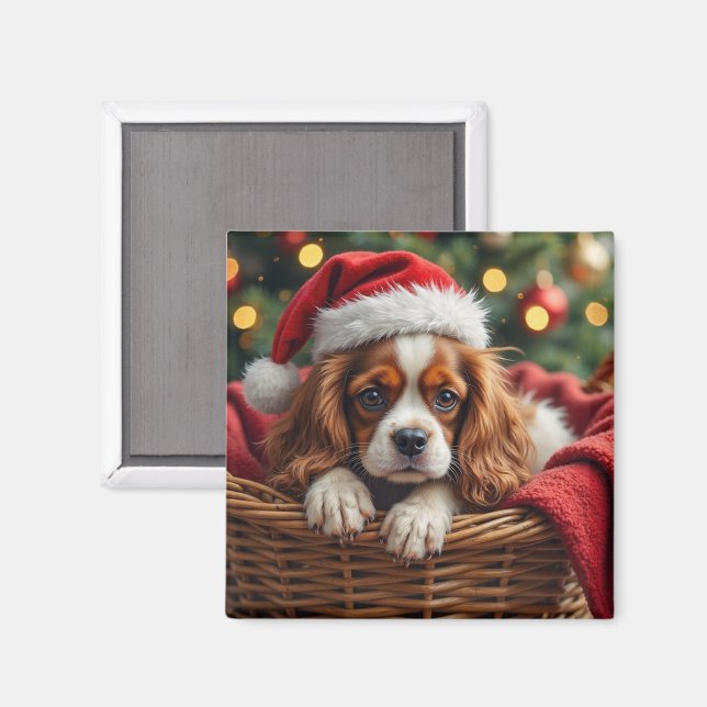 Cavalier King Charles Spaniel Kuschelkorb Magnet (Vorderseite/Rückseite)