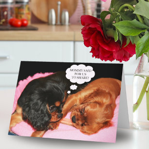 Cavalier King Charles Spaniel Lass uns teilen  Karte
