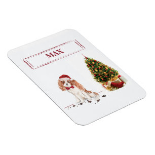 Cavalier King Charles Spaniel Lustiger Weihnachtsh Magnet