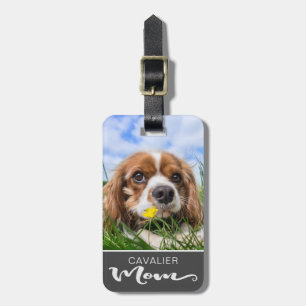 Cavalier King Charles Spaniel Mama Dog's Foto Gepäckanhänger