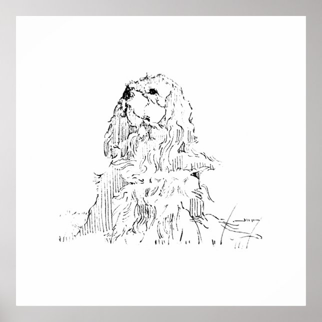 Cavalier King Charles Spaniel, Minimalistische Kun Poster (Vorne)