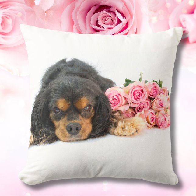 Cavalier King Charles Spaniel mit rosa Rosen Kissen (Von Creator hochgeladen)