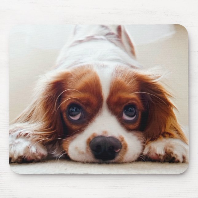 Cavalier King Charles Spaniel Mousepad (Vorne)