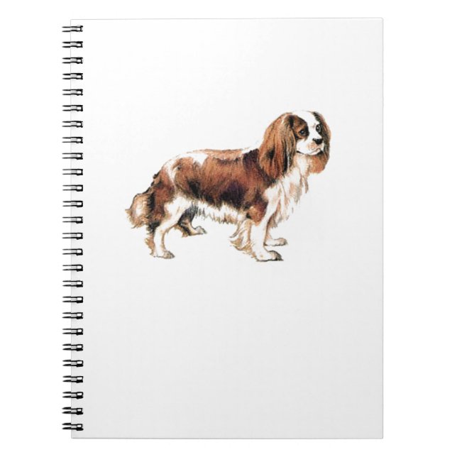 Cavalier King Charles Spaniel Notizblock (Vorderseite)
