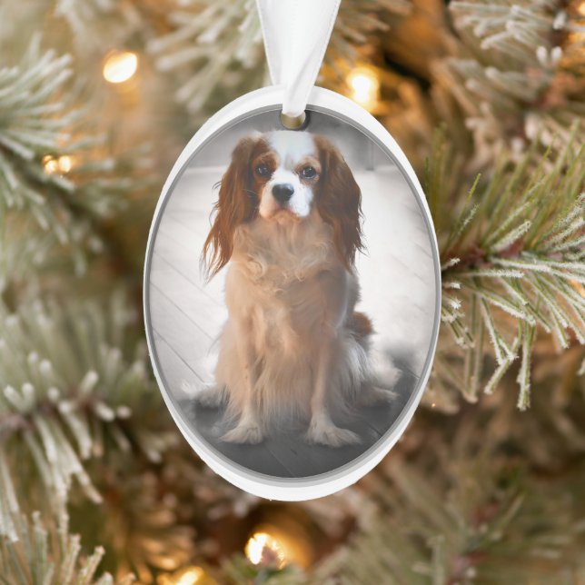 Cavalier King Charles Spaniel Ornament (Baum)