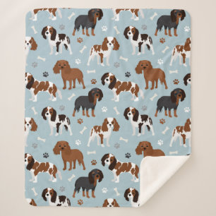 Cavalier King Charles Spaniel Paws and Bones Sherpadecke