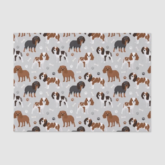 Cavalier King Charles Spaniel Paws and Bones Tissu Seidenpapier (Vorderseite)
