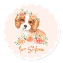 Cavalier King Charles Spaniel Peach Birthday