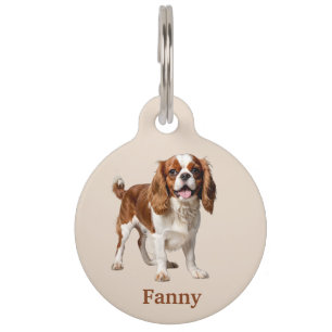 Cavalier King Charles Spaniel Personalize Haustiermarke