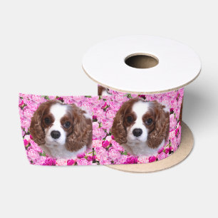Cavalier King Charles Spaniel Pfingstrosen Satinband