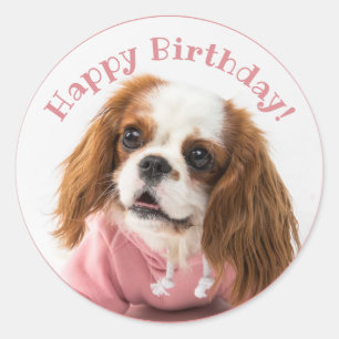 Cavalier King Charles Spaniel Pink Happy Birthday Runder Aufkleber