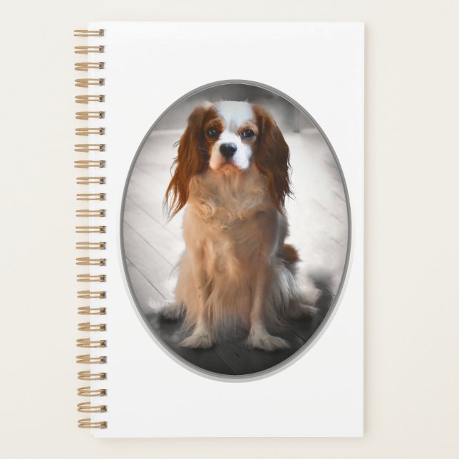 Cavalier King Charles Spaniel Planer (Vorderseite)