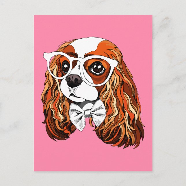 Cavalier King Charles Spaniel Portrait Postkarte (Vorderseite)