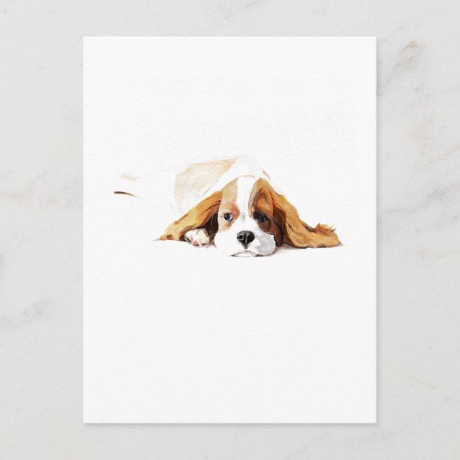 Cavalier King Charles Spaniel Postcard Gift Postkarte (Vorderseite)