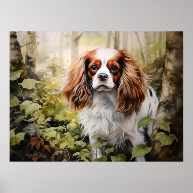 Cavalier King Charles Spaniel Poster (Vorne)