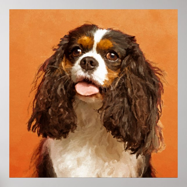 Cavalier King Charles Spaniel Poster (Vorne)