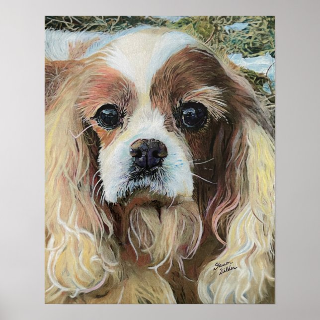 Cavalier King Charles Spaniel Poster (Vorne)