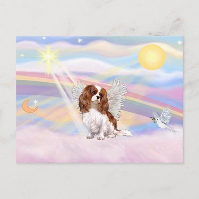 Cavalier King Charles Spaniel Postkarte (Vorderseite)