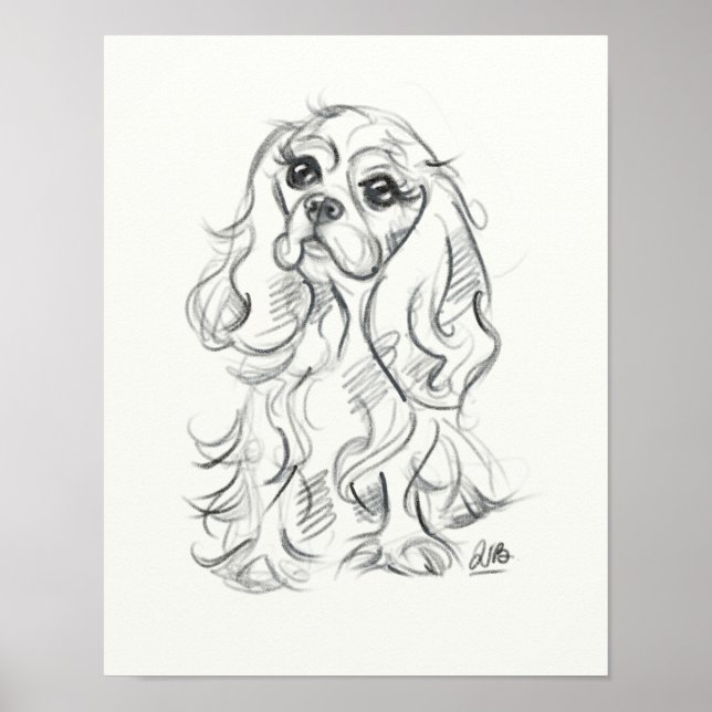 Cavalier king charles spaniel print | Skizze Poster (Vorne)