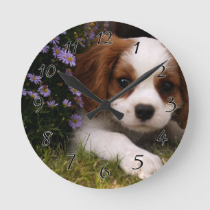 Cavalier King Charles Spaniel Puppy behind flowers Runde Wanduhr