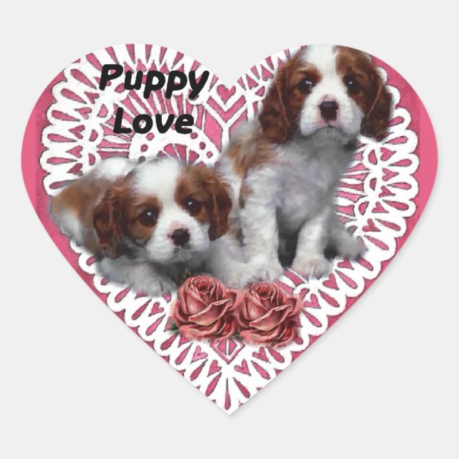Cavalier King Charles Spaniel Puppy Liebe Herz-Aufkleber (Vorderseite)