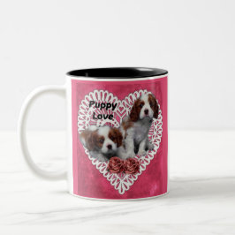 Cavalier King Charles Spaniel Puppy Liebe Zweifarbige Tasse