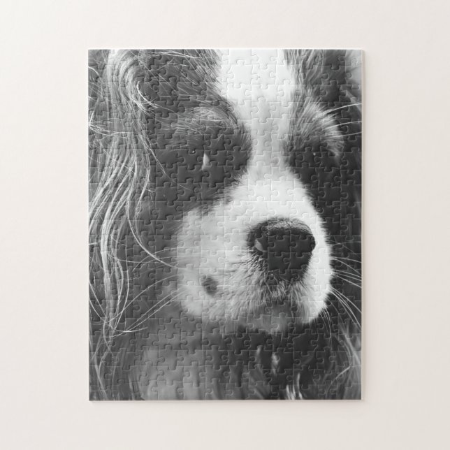 Cavalier King Charles Spaniel Puzzle (Vertikal)