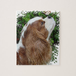 Cavalier King Charles Spaniel Puzzle