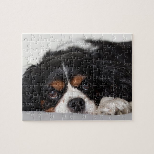 Cavalier King Charles Spaniel Puzzle (Horizontal)